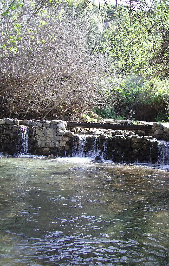 Sacred springs in Ovid Metamorphoses