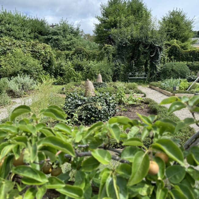Boscobel Herb Garden
