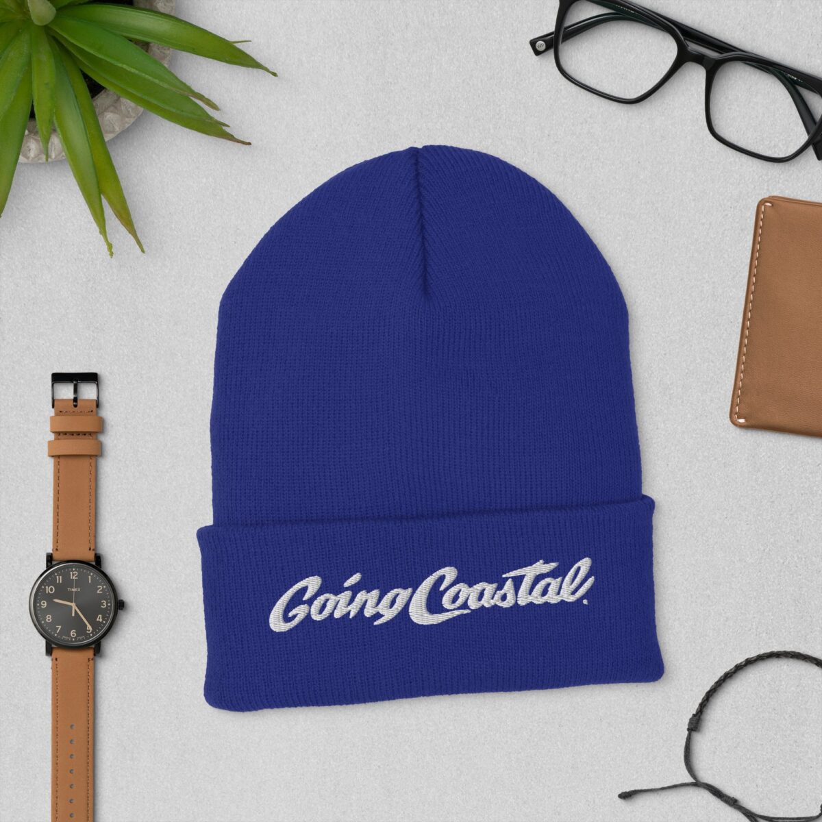 Going Coastal Beanie