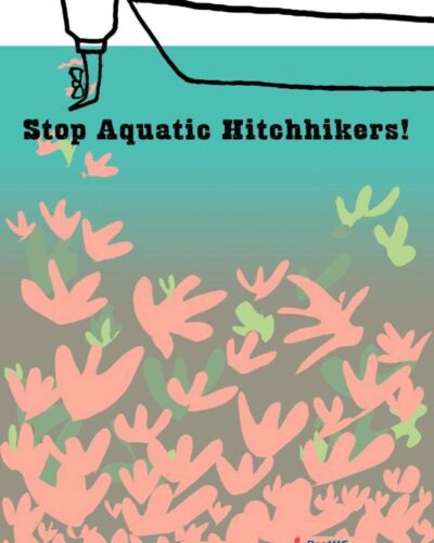 Aquatic Hitchhikers