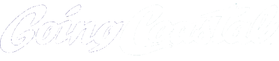 light logo